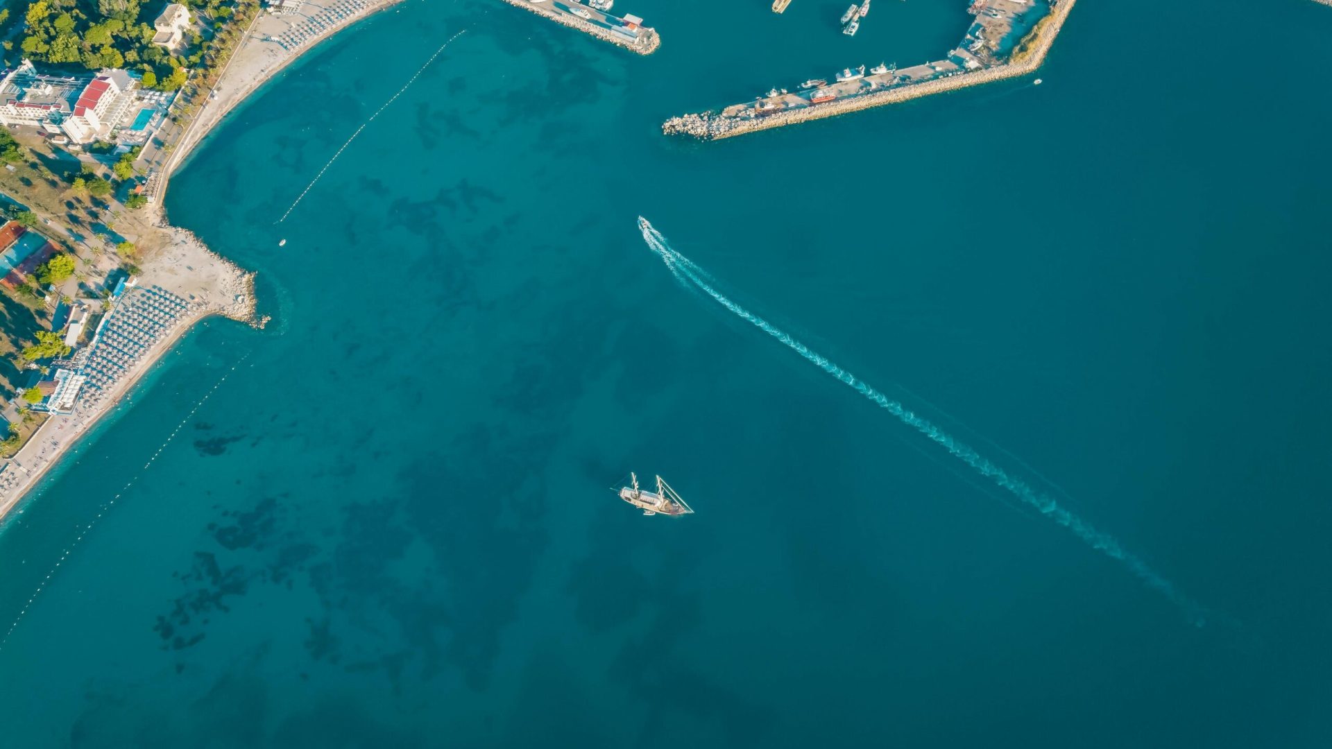 pexels-aleksandar069-5125373-min